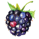 Recursos Frutas Nutrición 13 - Nutridisima